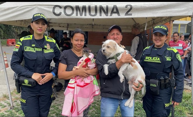 desparazitacion