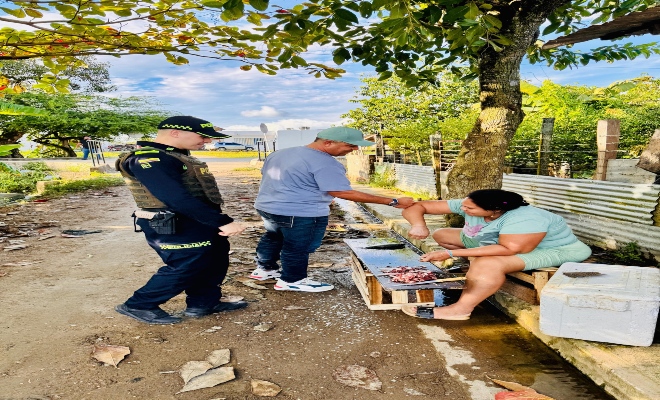 el sol que cae sin misericordia, se levantan antes que el canto del gallo