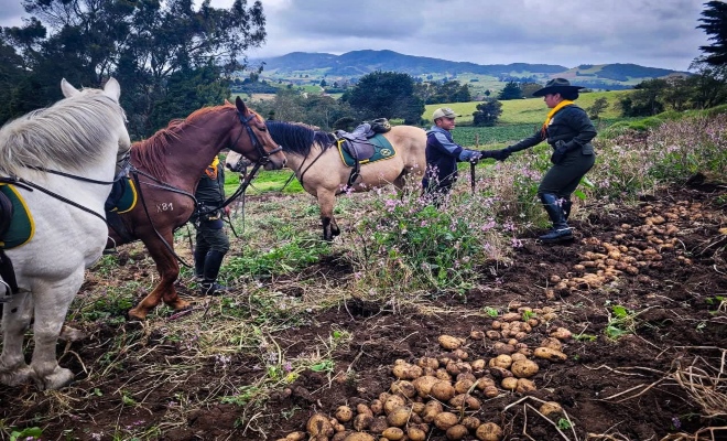 entre veredas y potreros (1)