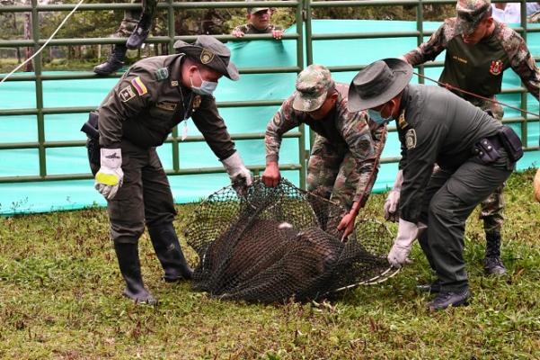Estrategia de protección a la flora y fauna