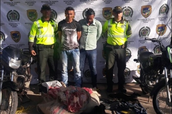 Fortalecemos lucha frontal en contra del abigeato  foto-capturados-dos-hombres-y-se-incautan-500-kilos-de-carne-de-res