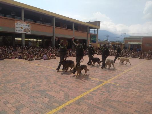 Acompañamiento regreso a clases, institución educativa la Arboleda