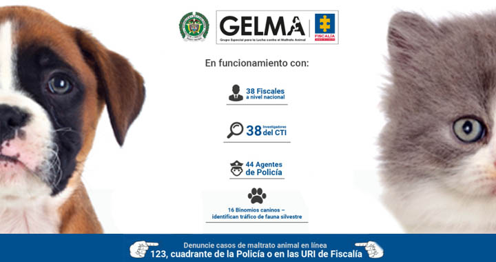 gelma