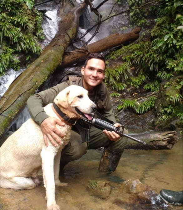 guias caninos en antioquia 