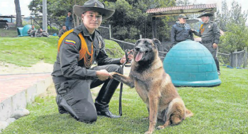 hogar-geriatrico-animales-policia-colombia.