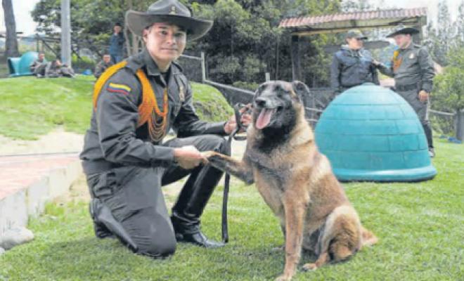 hogar-geriatrico-perros-policia-colombia