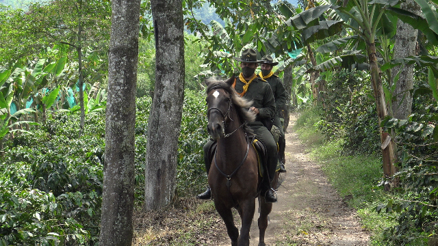 Un-grupo-especial-acompañara-a-nuestros-caficultores-risaraldenses  