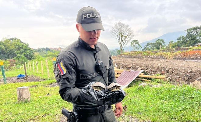 la-fauna-silvestre-es-una-prioridad-para-nosotros-como-institucion