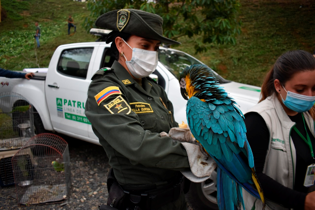 Tu-casa-no-es-mi-casa-mi-casa-es-el-bosque