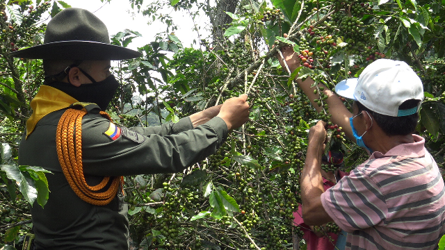 Garantizamos la seguridad del 'plan cosecha' en los municipios de Pereira y Dosquebradas | Policía Nacional de Colombia