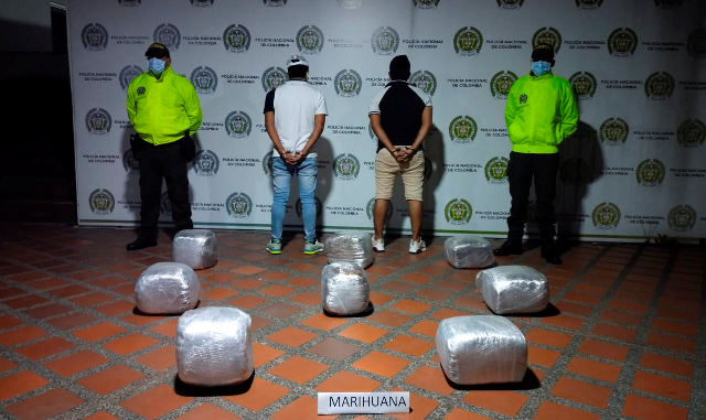 Ofensiva contra el tráfico de estupefacientes en el municipio de La Virginia