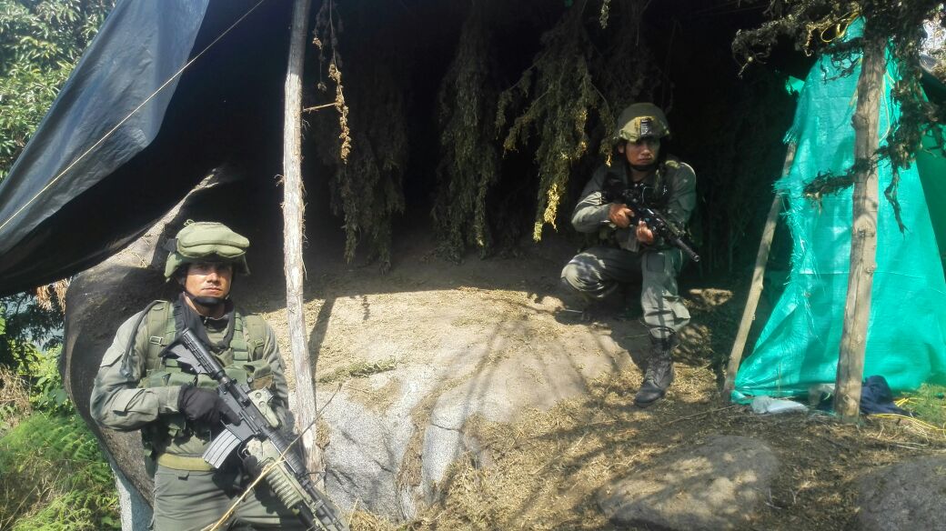 Policía Antinarcóticos destruye dos centros de acopio y un laboratorio para el procesamiento de cocaína y marihuana 