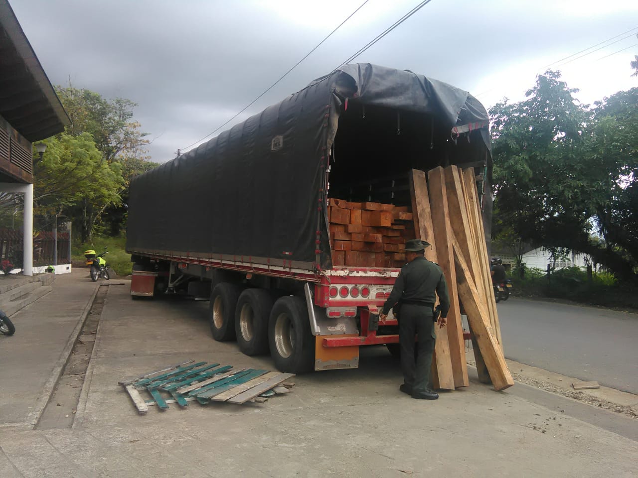 incautacion-madera
