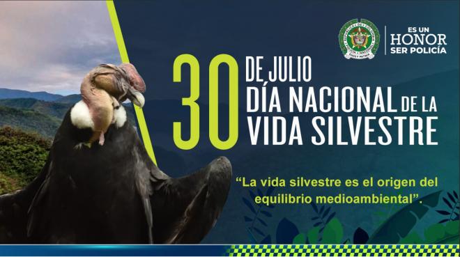 vida-silvestre