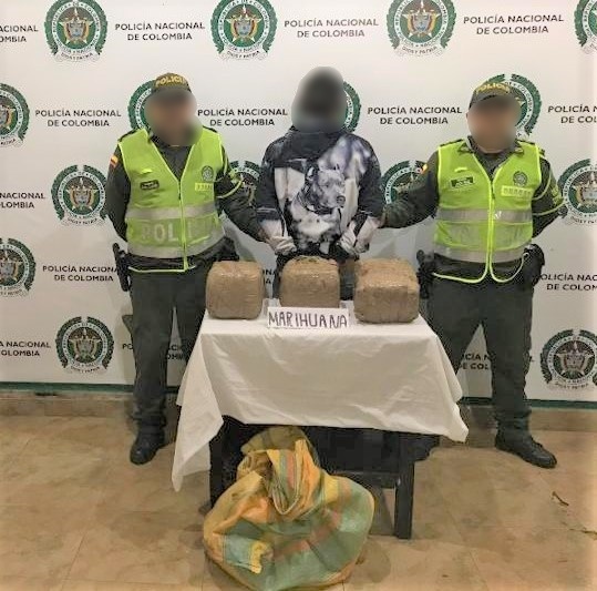 Marihuana incautada 