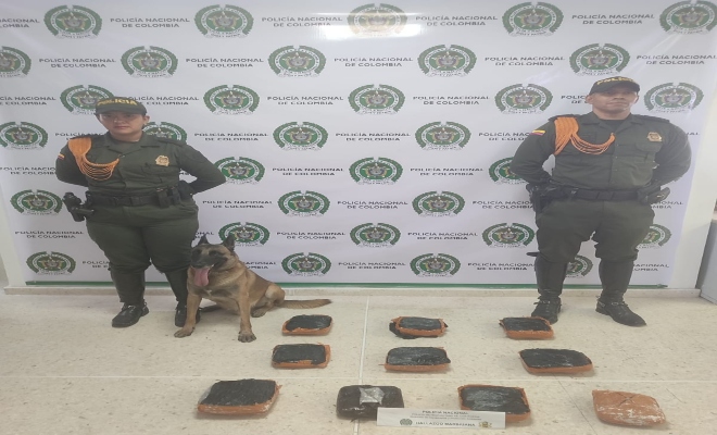 Dos policías, un canino y elementos incautados