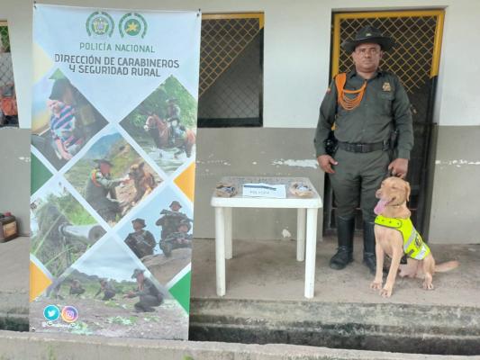 Incautación de polvora en Magangué