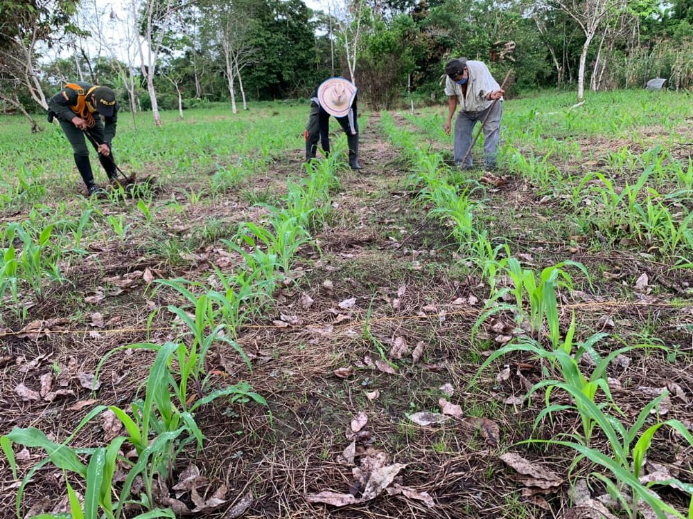 Creamos proyectos productivos en beneficio de nuestra gente 