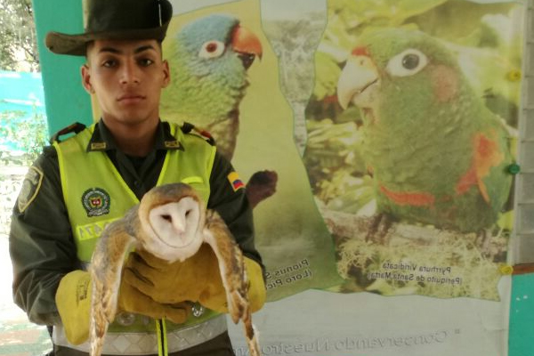 Somos-protectores-de-la-flora-y-la-fauna
