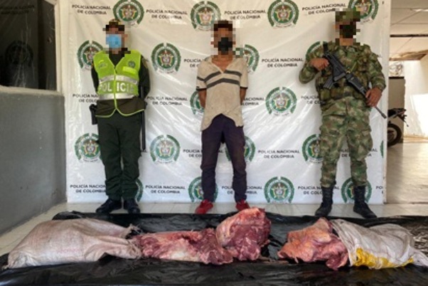 Controles policiales, ejército e información de la comunidad mejora la seguridad en el Cesar Lo-capturamos-por-abigeato-en-Codazzi