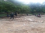 En los procedimientos se incautaron 197 m3 de madera