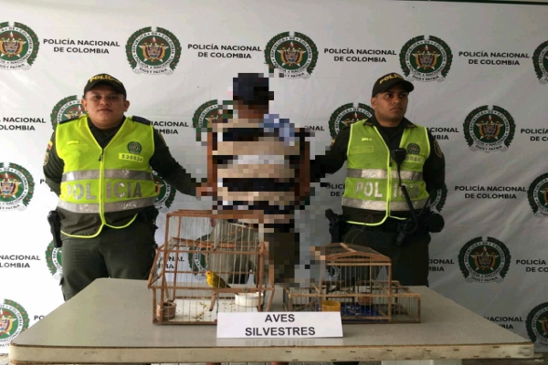 animales rescatados 