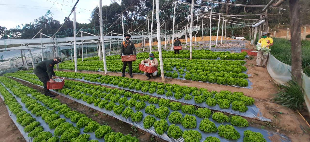 Mercados_Campesinos_Betulia_1