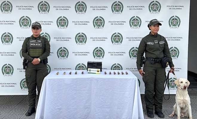 dos policías, un perro y varia marihuana incautada 