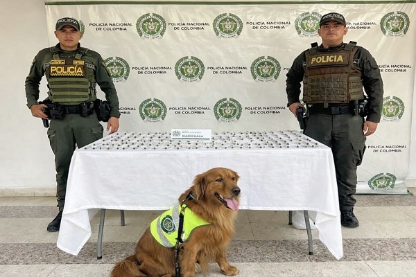 Dos Policías y el canino “Tomás” con la incautación de estupefacientes