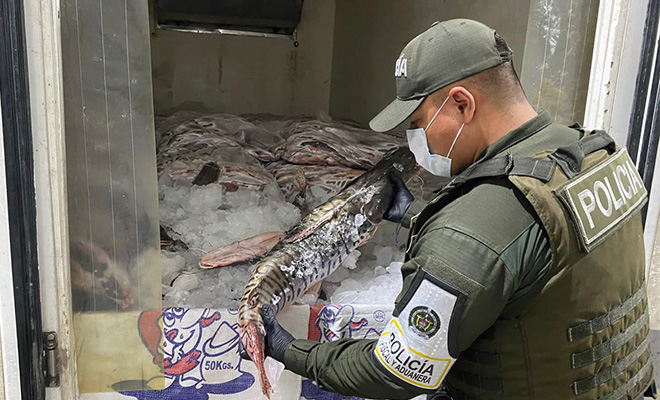 Policía inspeccionando pescado incautado