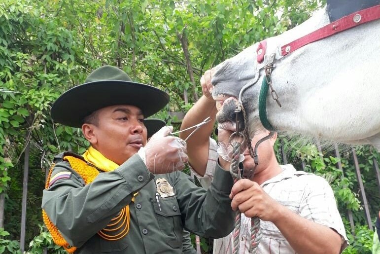 Policía adelanta acciones para la protección y cuidado de animales Policía-adelanta-acciones-para-la-protección-y-cuidado-de-animales