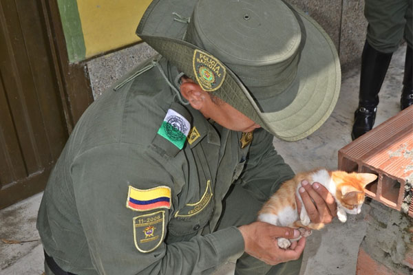 Con refugio, alimentación y con medicina son atendidos las diferentes mascotas.
