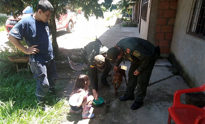 En-Vista Hermosa-junto-a-la-comunidad-rescatamos-a-‘rambo’