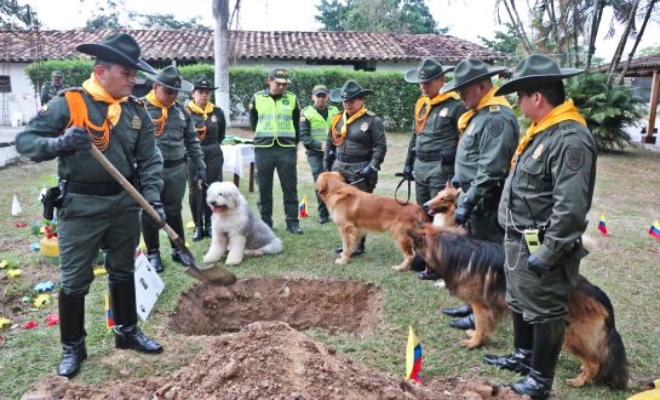policia-homenaje-canino-bucaramanga
