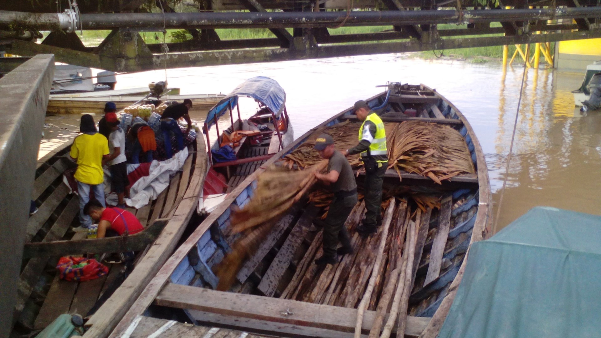 hojas-de-caraná 