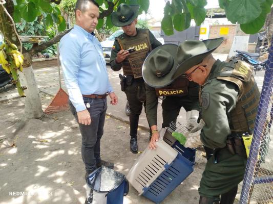 prevención de la fauna silvestre