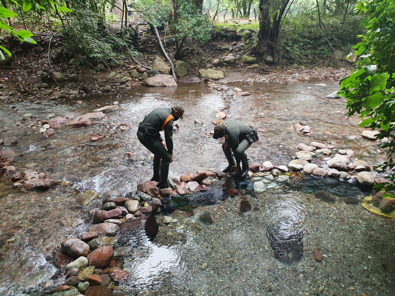 Trabajamos por la protección del ambiente. 