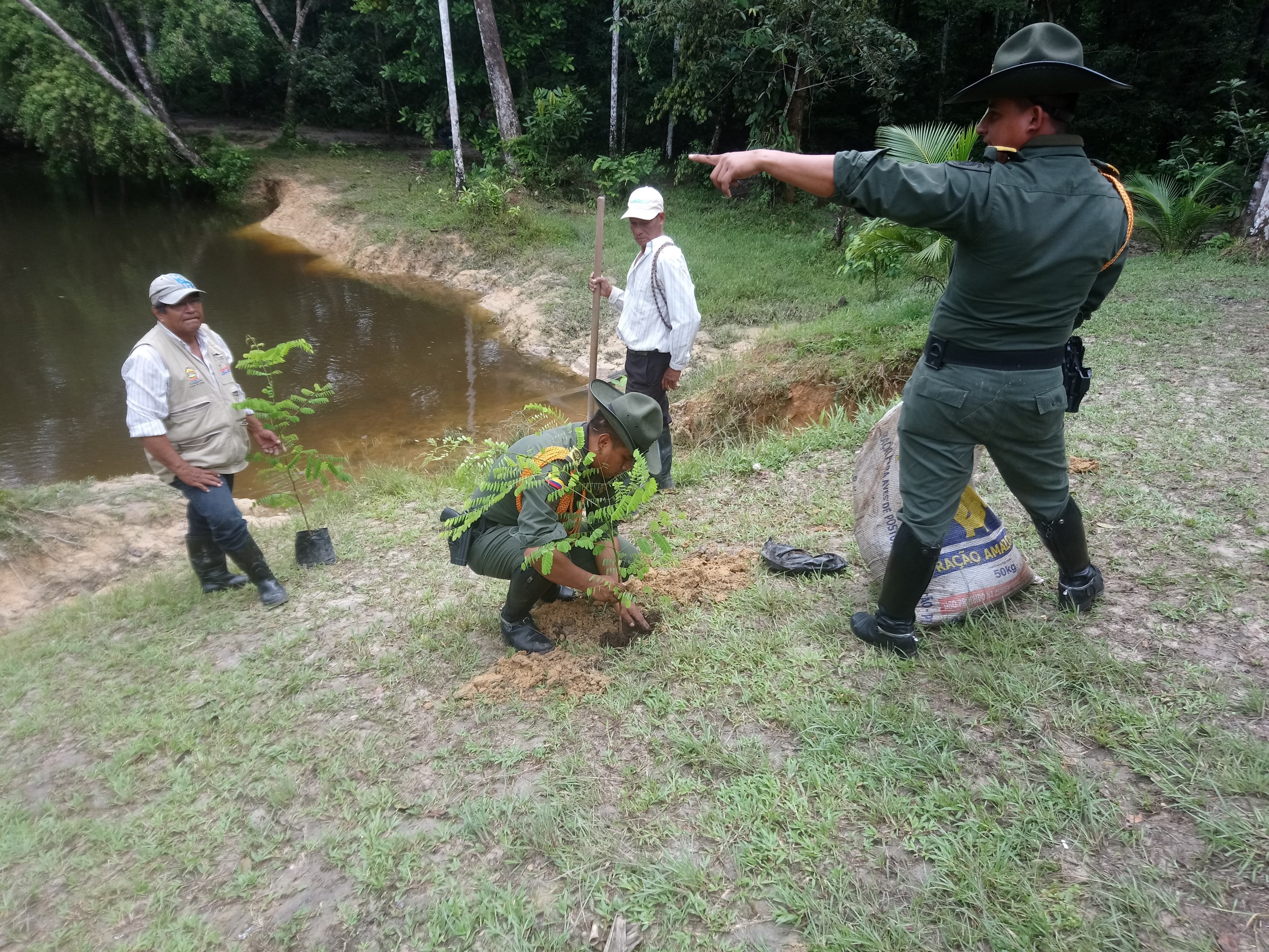 reforestacion
