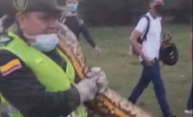  rescate_anaconda0
