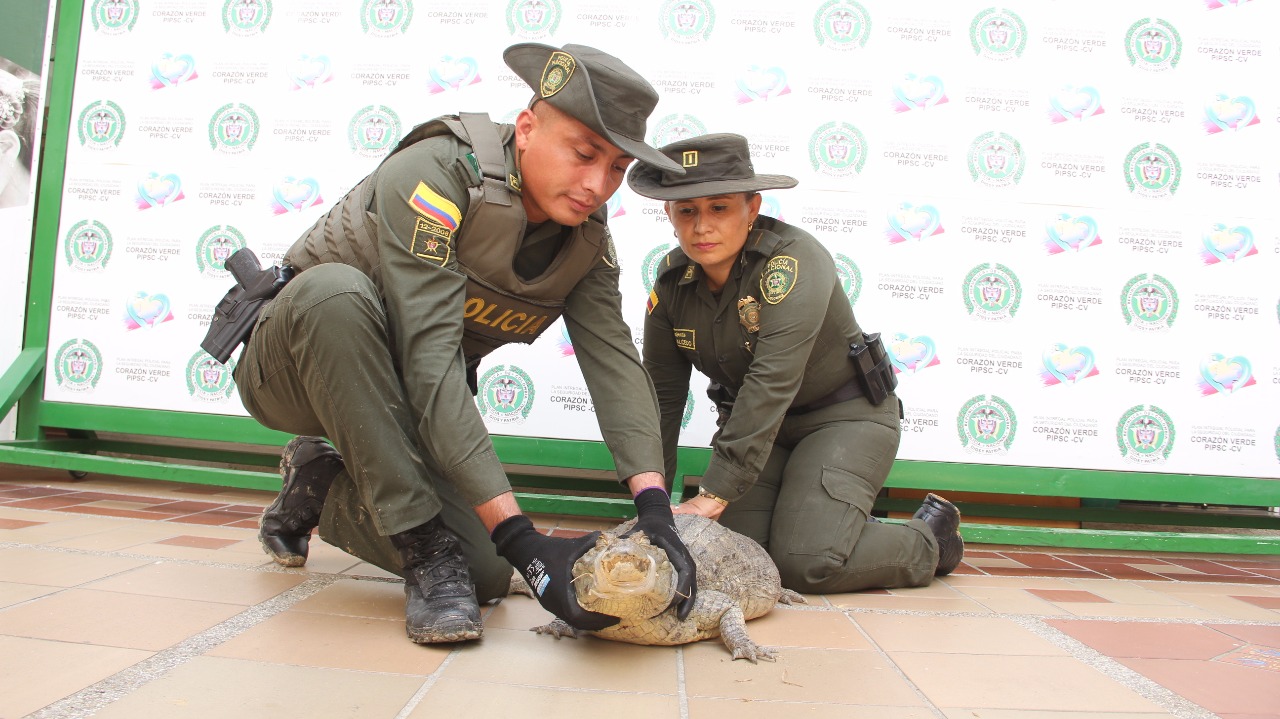 rescate_de_babilla_