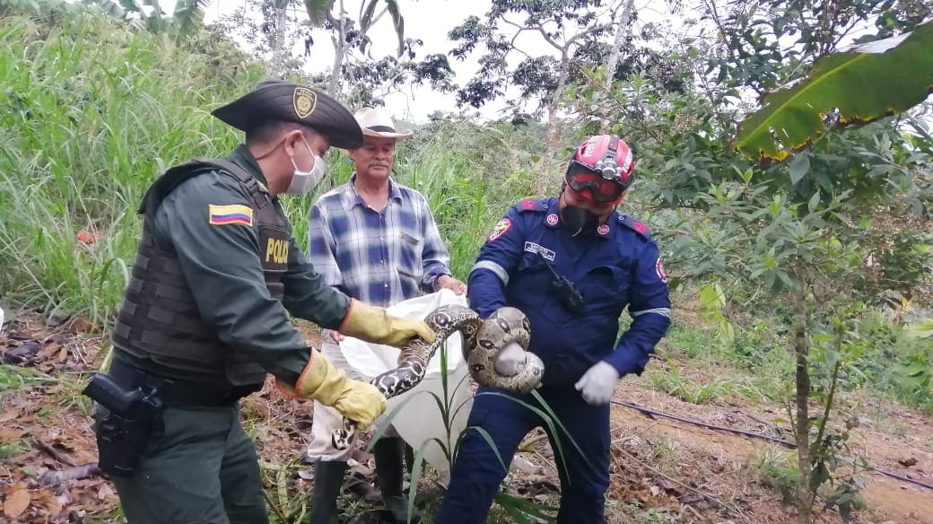 Rescate_de_una_Serpiente