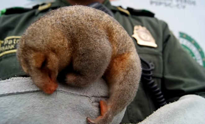 trabajamos-para-crear-conciencia-ambiental