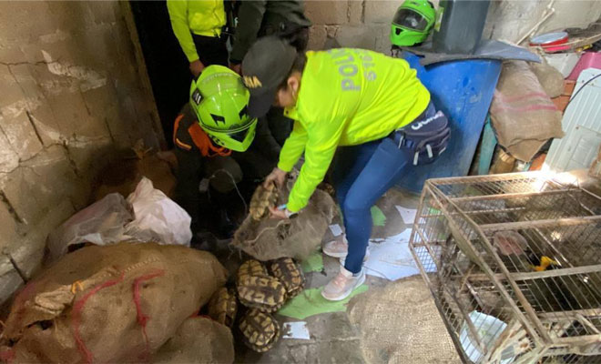 no a la cmercialización de fauna silvestre
