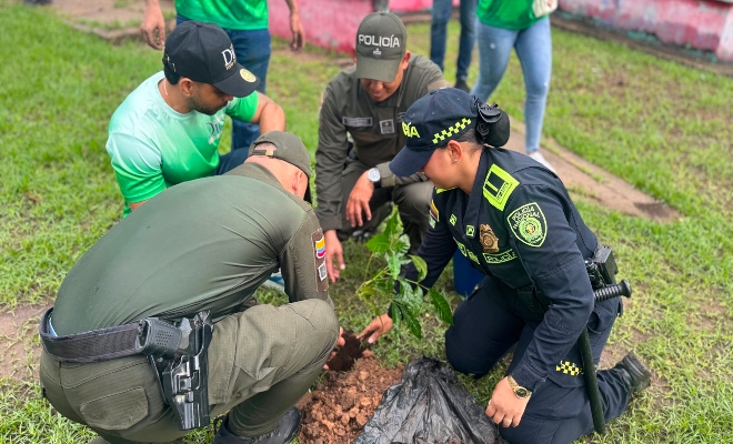 funcionarios públicos plantando arboles en un parque de Magangué con el apoyo de los habitantes