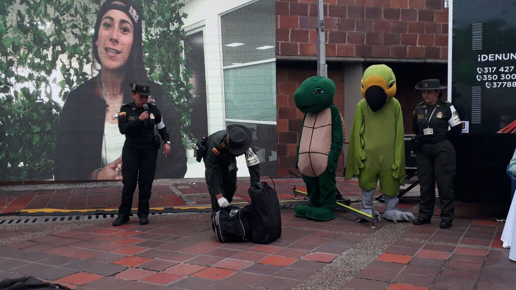 policia-ambiental