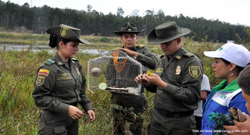 dia-humedales-policia-colombia