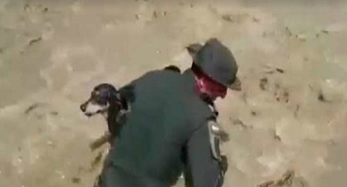 perrito_rescate_policia