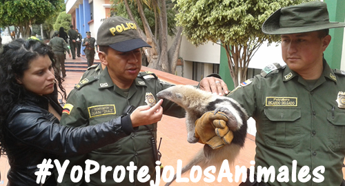 YoProtejoLosAnimales