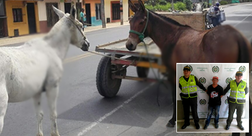 maltrato animal 190216 cambio de fotografia