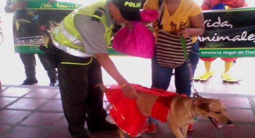 campaña_ambiental_